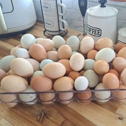 Farm Fresh Eggs
