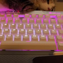 Cosair Key Board 20$