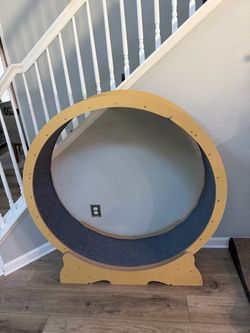 Cat Wheel