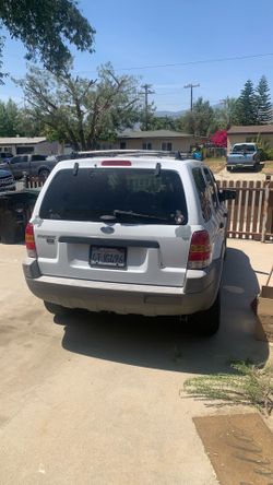 2001 ford escape