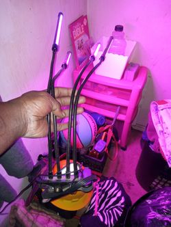 Bseaeh LED Plant Lights