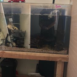 75 Gallon Fish Tank Acrylic