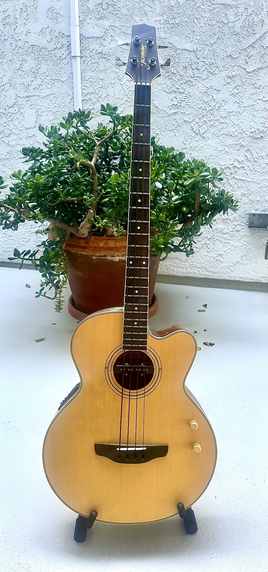 Takamine ES100C-4 Bass Guitar Acoustic/Electric