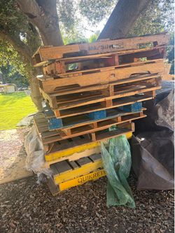 Free pallets - about 15