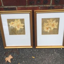 Framed Floral Prints