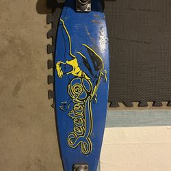 Sector 9 Longboard/cruiser 