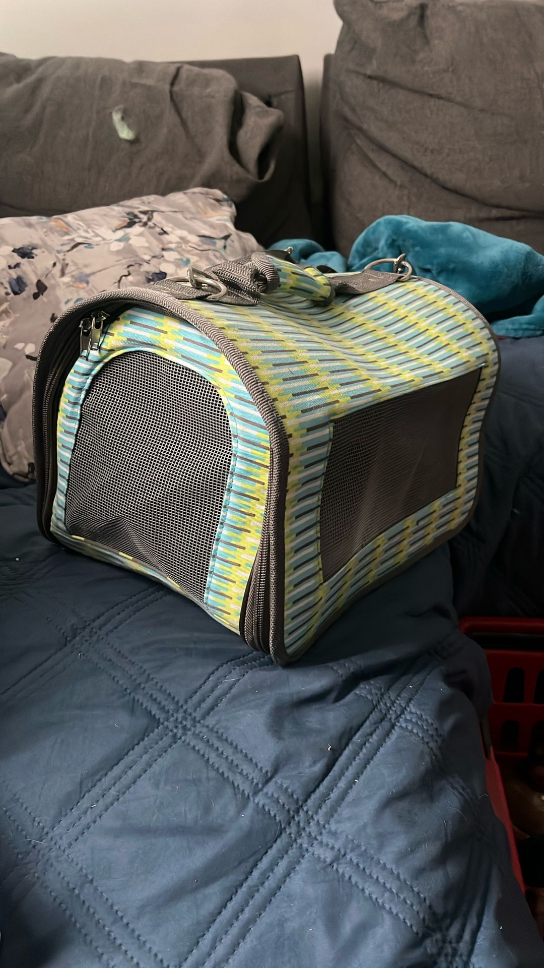 small pet carrier