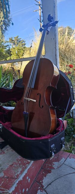 CARLO ROBELLLI CELLO