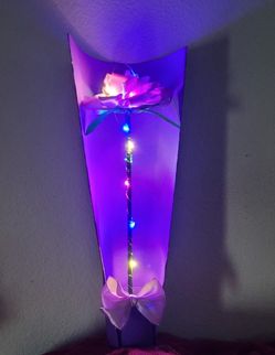 Beautiful Eternal Flower With Led Light  