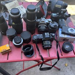 Camera Collection 