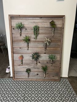 Gorgeous Succulent Wall