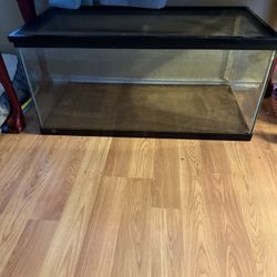 100 Gallon Tank 