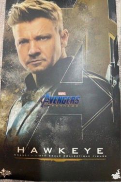 Hot Toys 🔥 Hawkeye Endgame