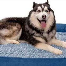 Pet Products Orthopedic Two-Tone Faux Fur & Suede Sofa-Style Couch Pet Bed for Dogs & Cats - Marine Blue, Jumbo
Up to 100 lbs