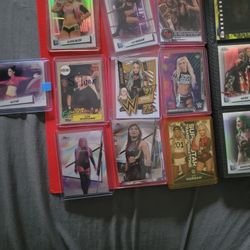 Lot Of Wwe Collectibles