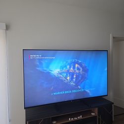 LG 79' TV  3D