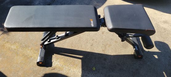 Work Out Bench