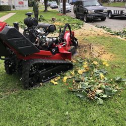 Stump Removal