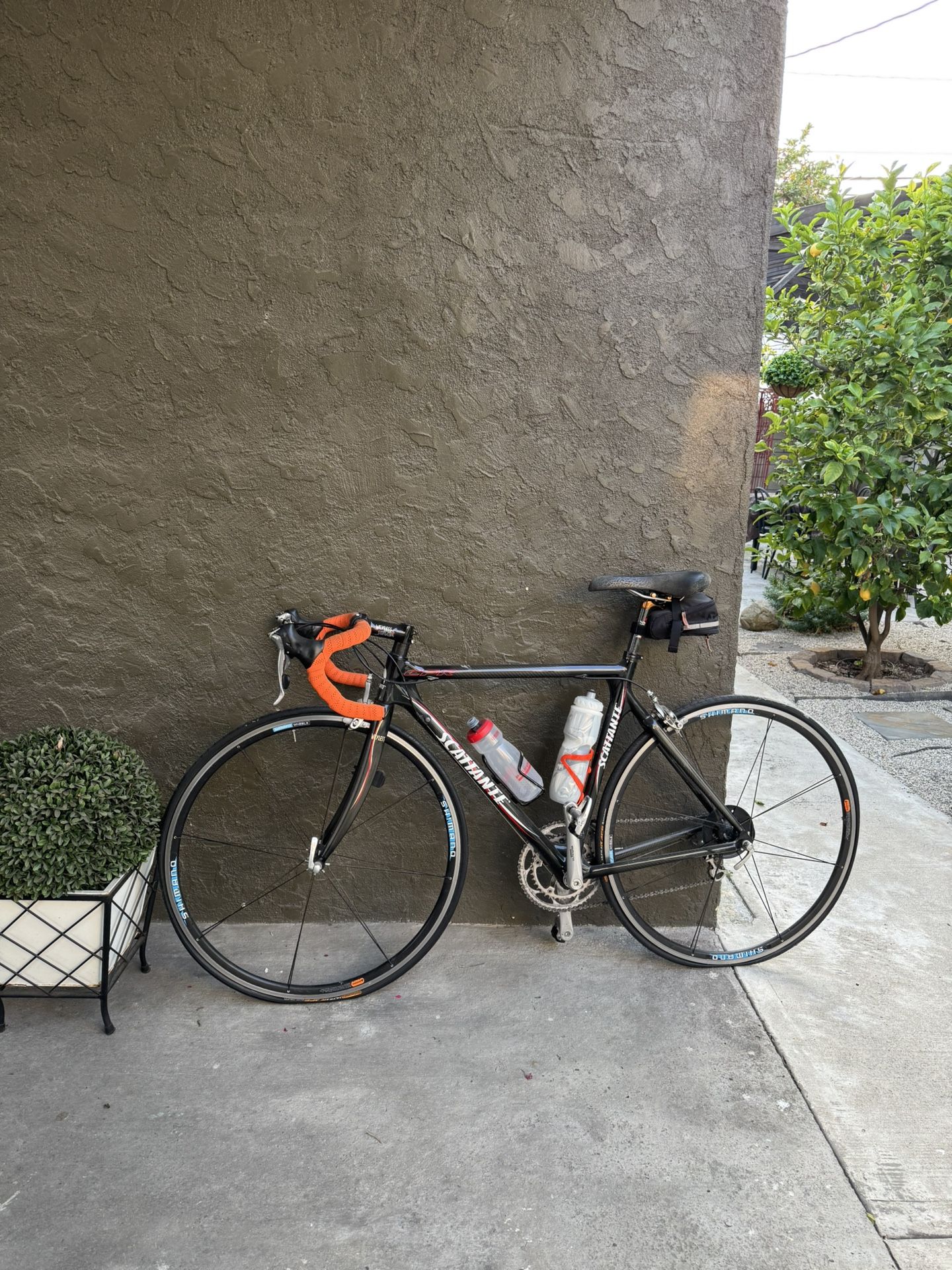 Scattante Road Bike