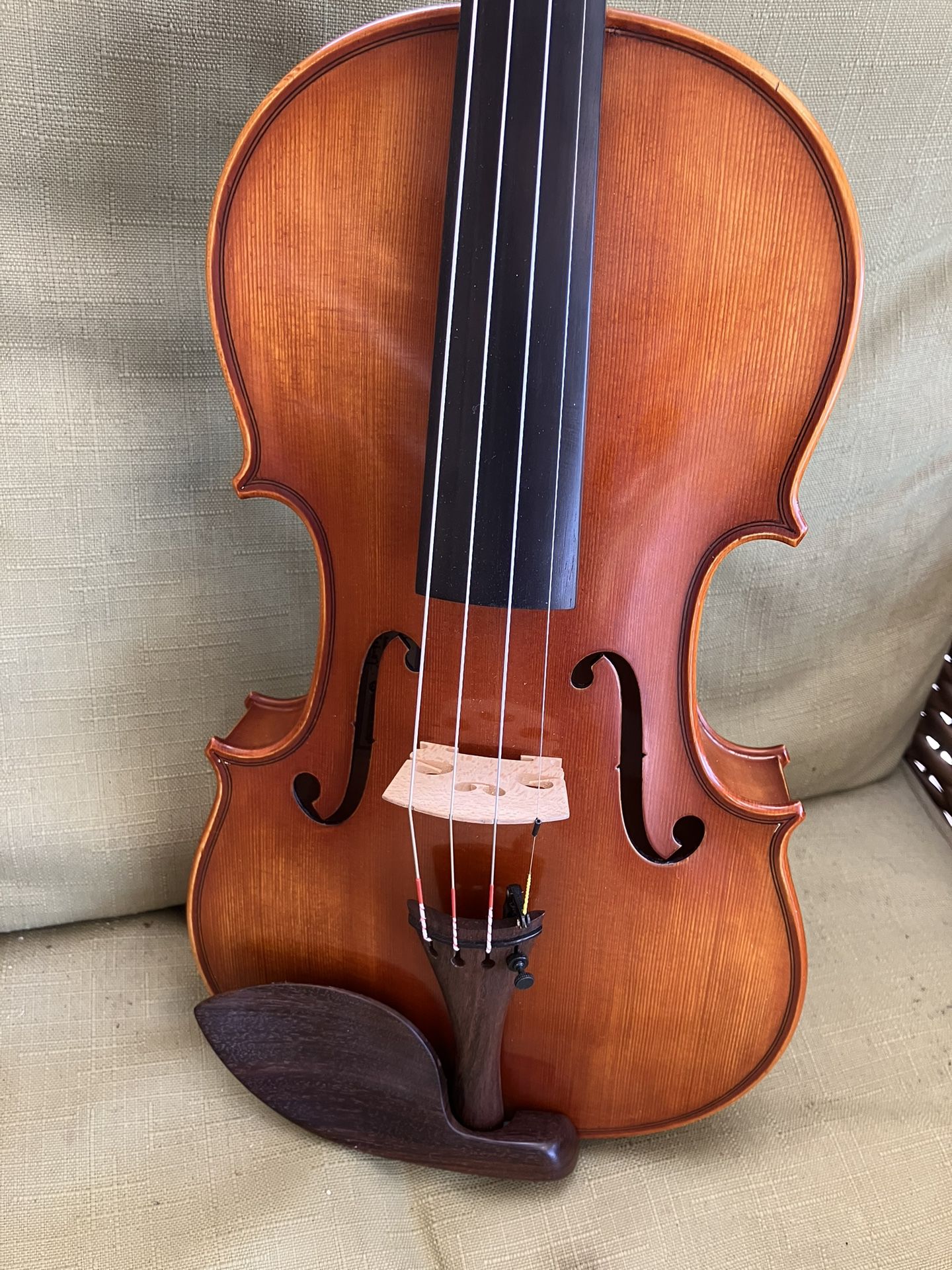 Otto Benjamin ML-300 4/4 Violin by Eastman 