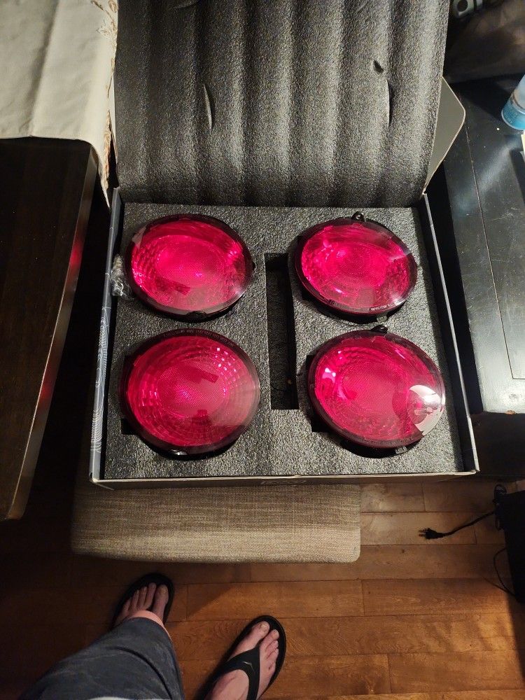 Corvette  C6 OEM Taillights  