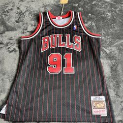 Chicago Bulls Dennis Rodman jersey 95-96