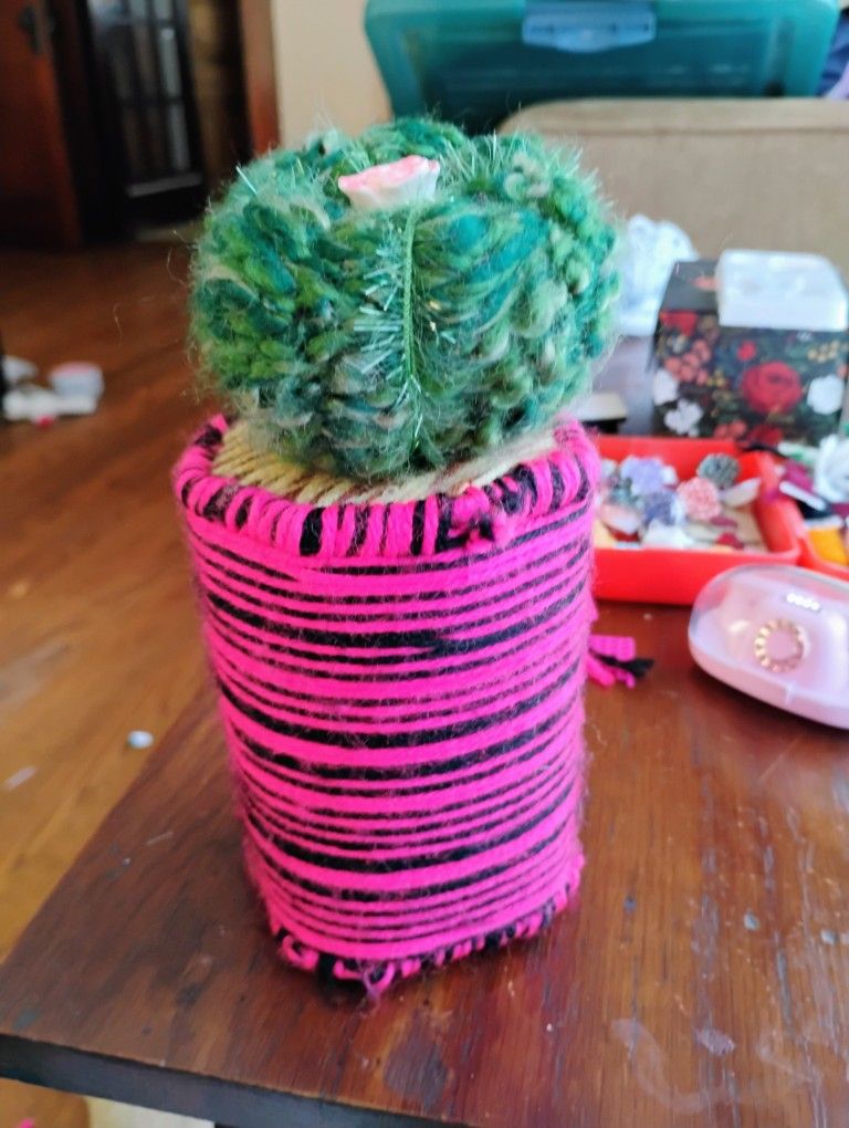 Soft Cactus