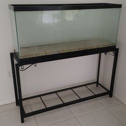 55 Gallon Tank & Stand For Sale 