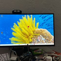 Monitor for 35 