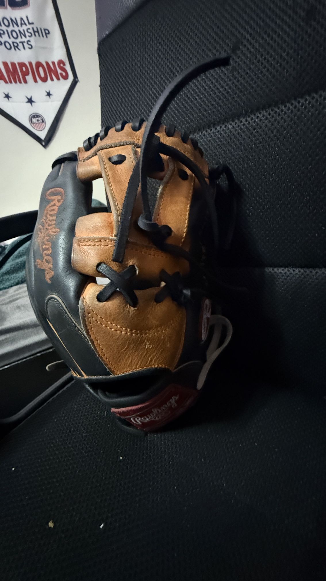 Rawlings Heart Of The Hide