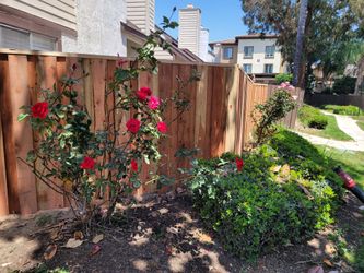 Quality Fencing With Warranty 