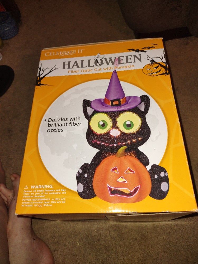Fiber Optic Cat With Pumpkin