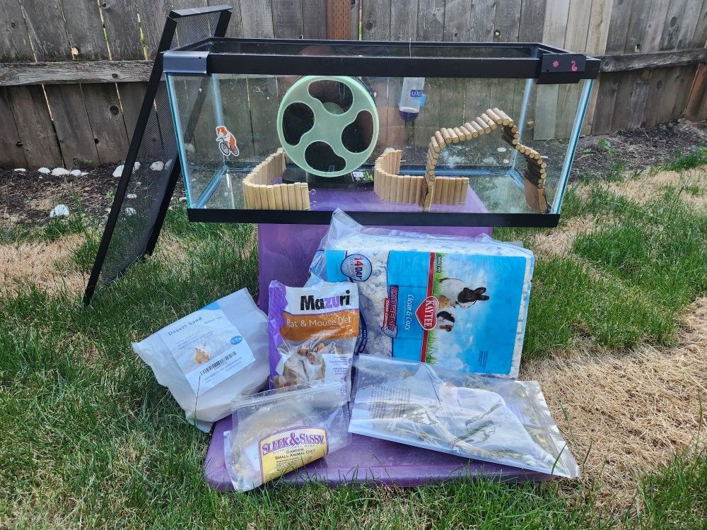 Hamster Starter Pack