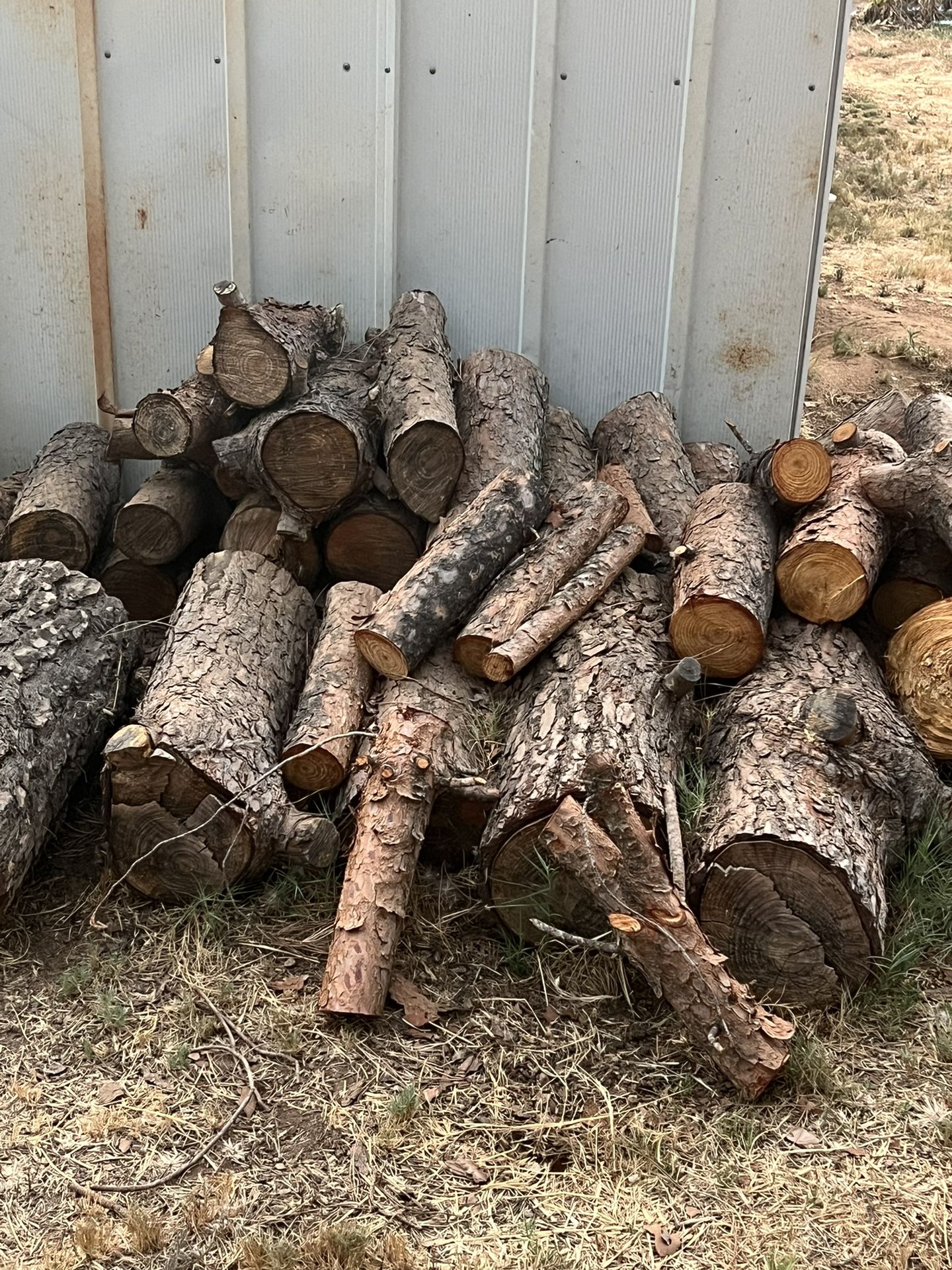 Pine Firewood