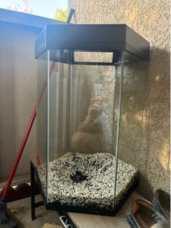 Fish Tanks