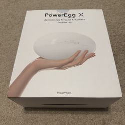 Powervision PowerEgg X Drone