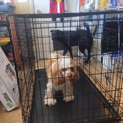 Large Dog Cage