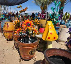 🌸 Garden Décor, Cacti, Flowers & MORE!