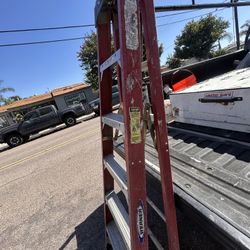 Werner 6’ ladder 