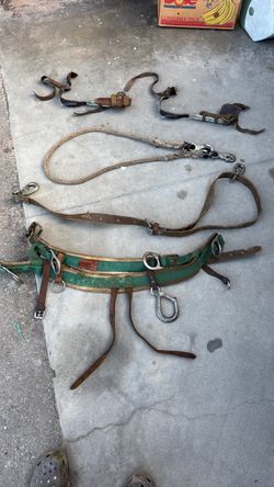 Tree climbing gear