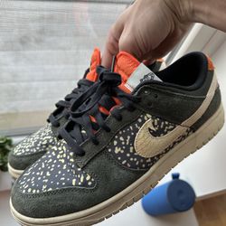 Nike Dunks Used 9M Trouts