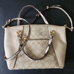 Coach Purse New W/out Tags