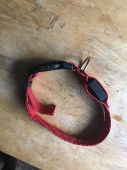 Light Up Red Dog Collar