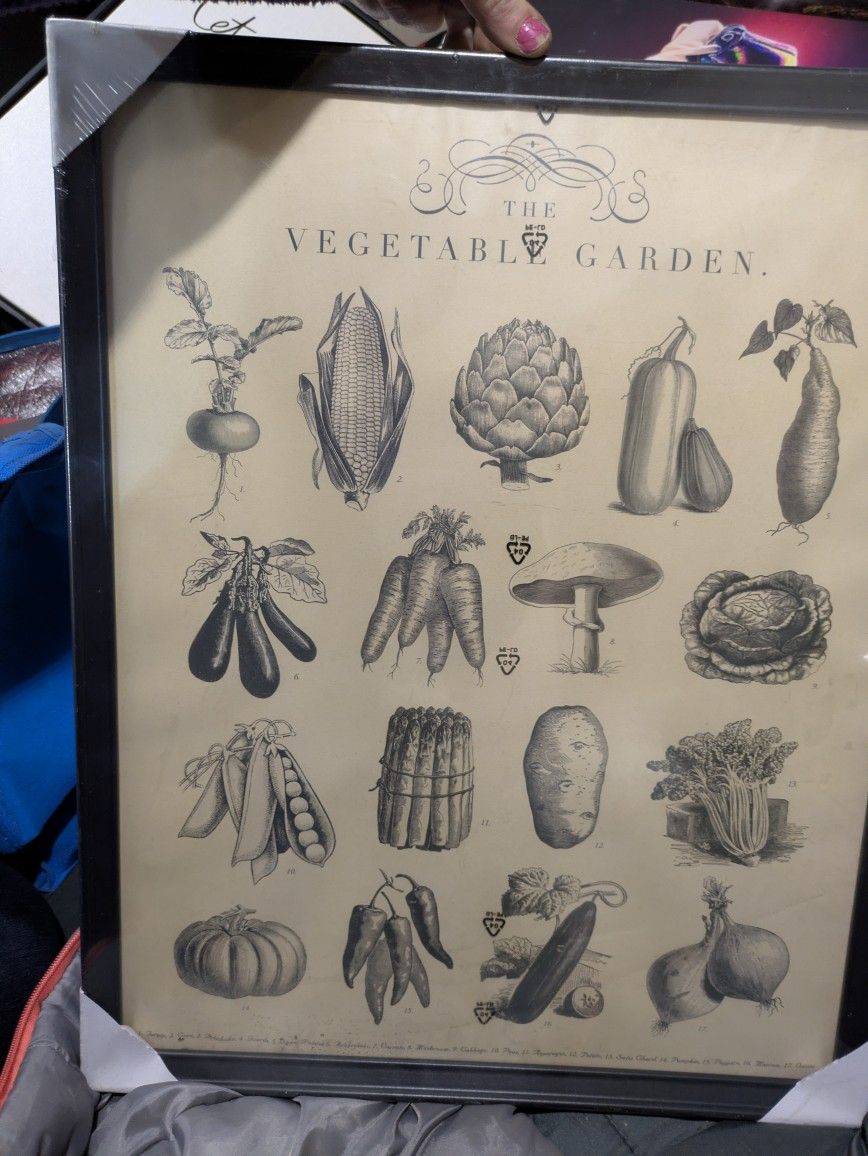 Vintage-Inspired Wall Art