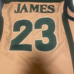 LeBron High School Jersey 
