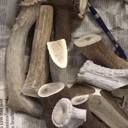 Chews For Pets Antler