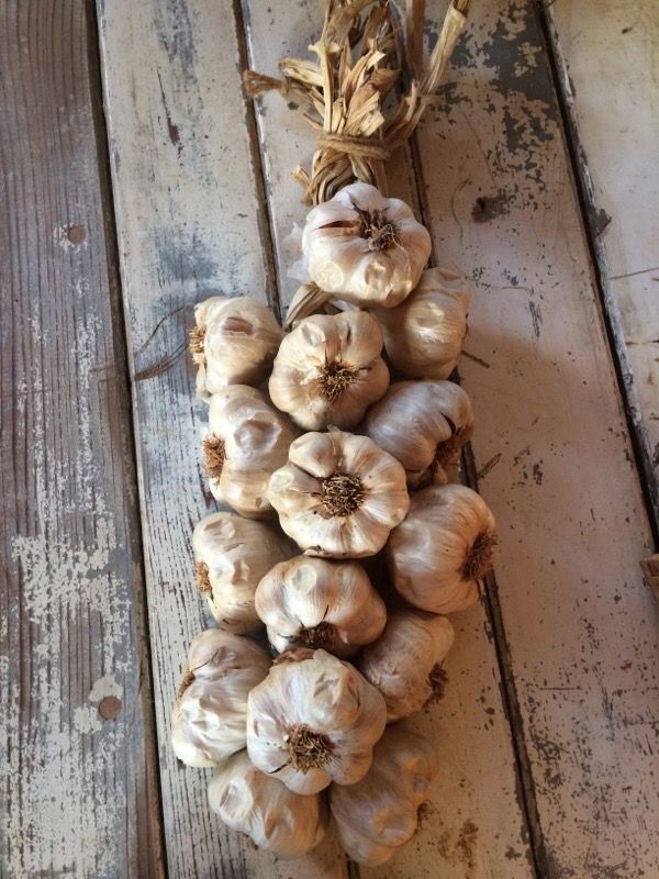 Garlic Braiding Class