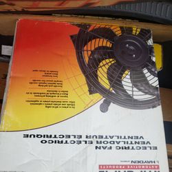 Motor Fan