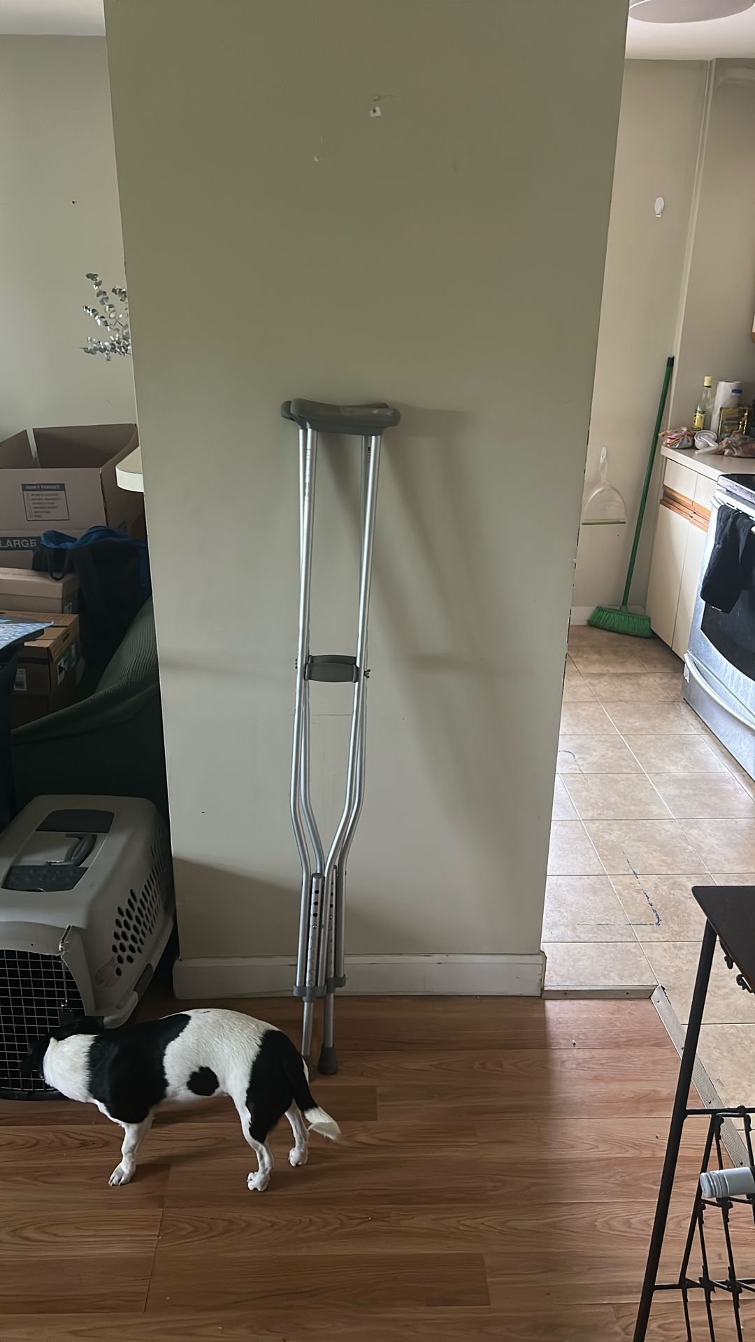 Hospital Crutches