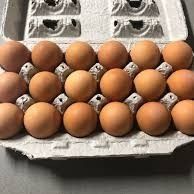 Eggs